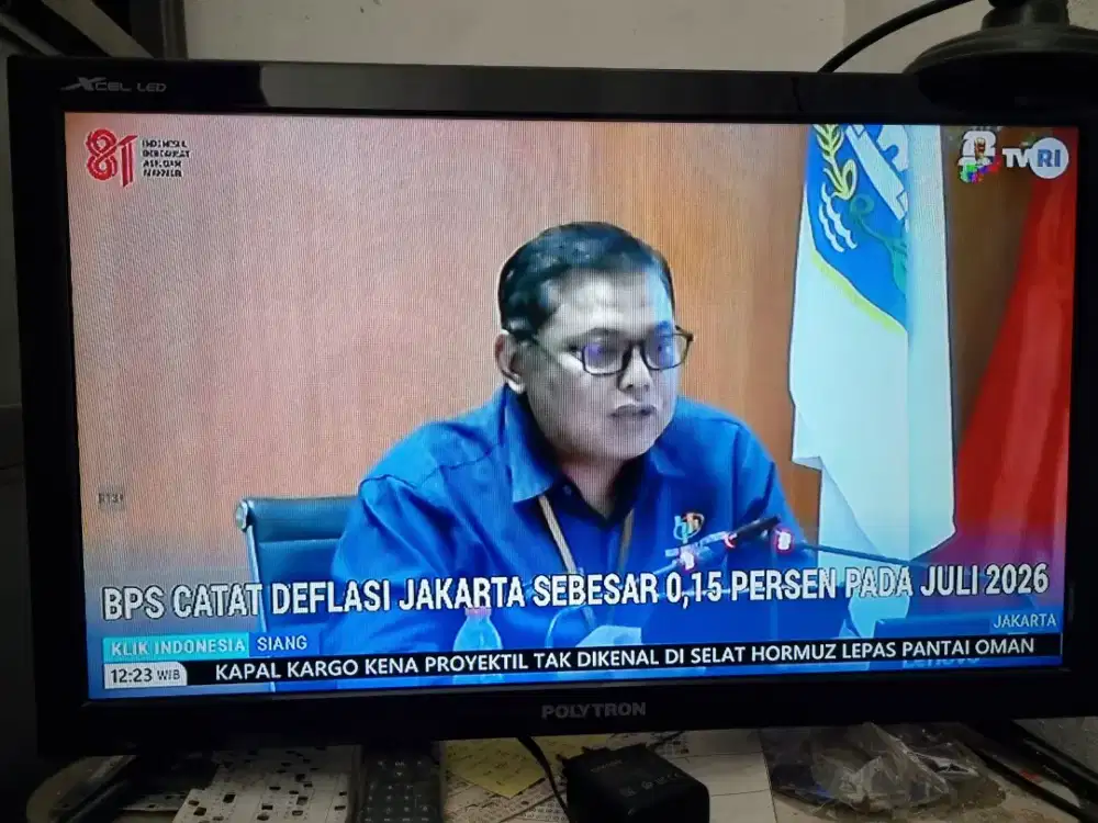 TV POLYTRON 24inc
