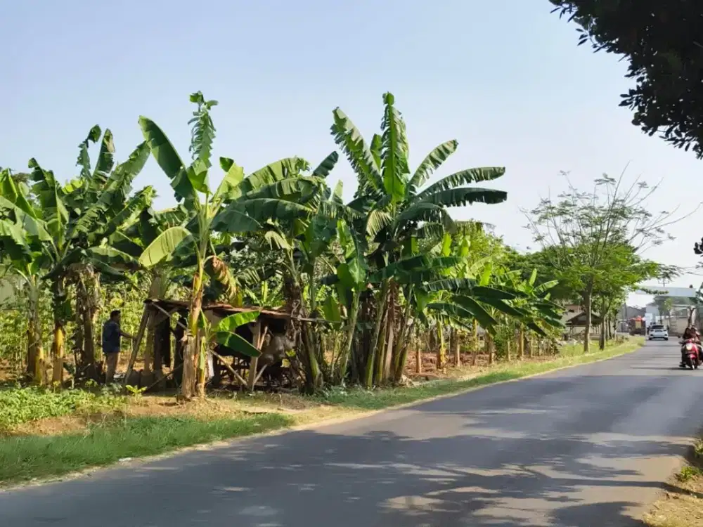 Dijual Tanah SHM (tidak banjir) Luas 3200m2 di Kawasan Industri Cikarang MM2100