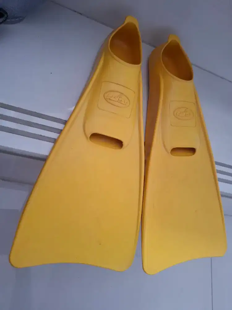Sepatu katak renang anak laki laki / fins