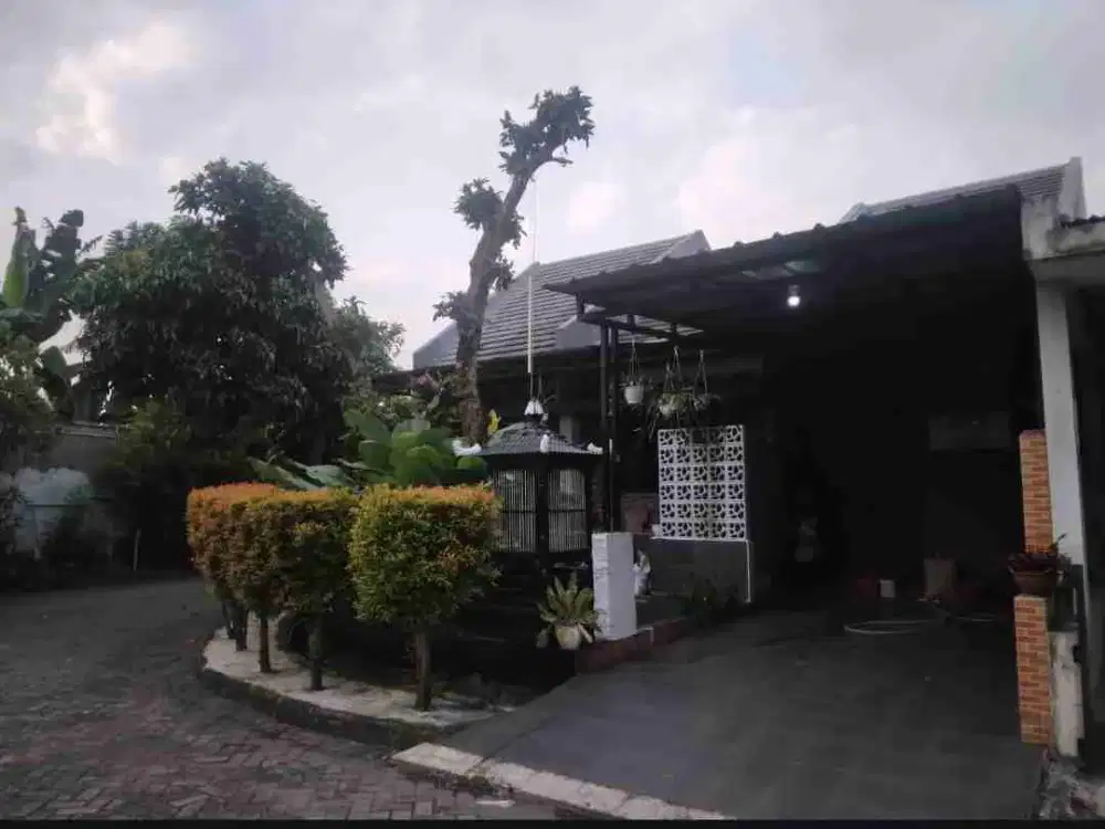 Rumah Sewa Rapi Siap Huni di The Address Cibubur
