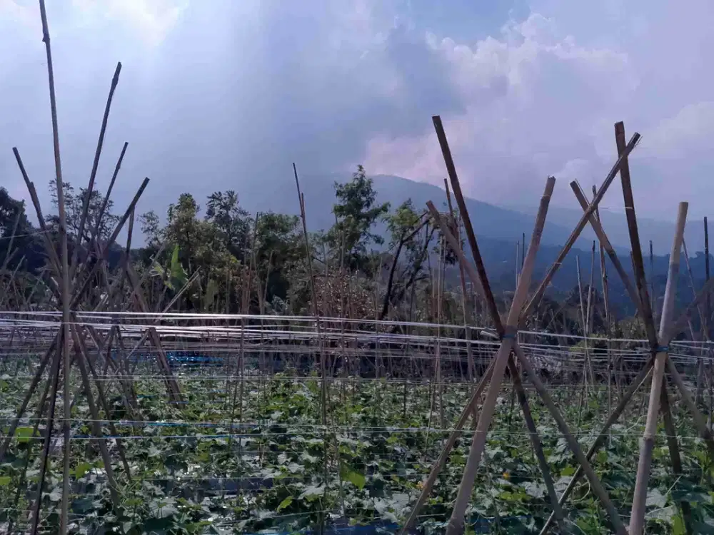 di jual lahan view gunung dekat lido Bocimi di Cigombong
