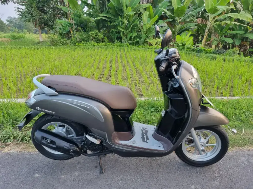 SCOOPY STYLISH MATTE BROWN 2018