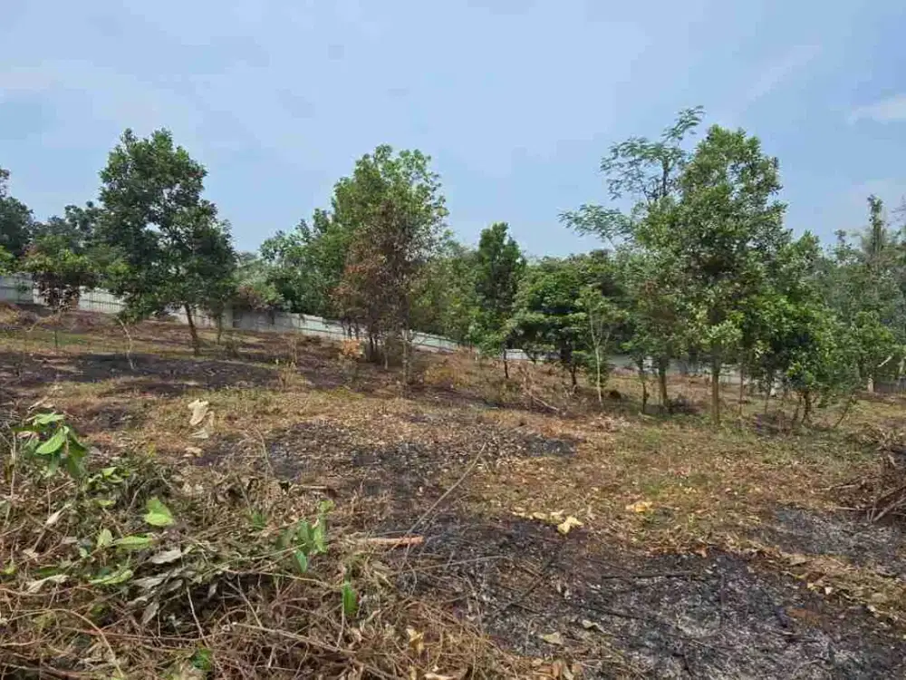 Dijual Lahan Industri SHM Jl Serpong Parung Harga Di Bawah Pasar