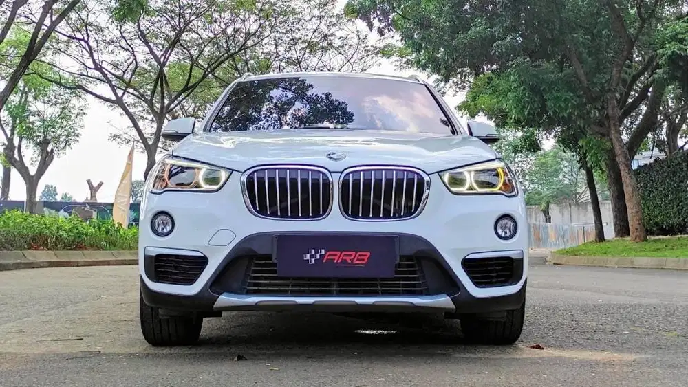 Low Oddo BMW X1 2019 Panoramic