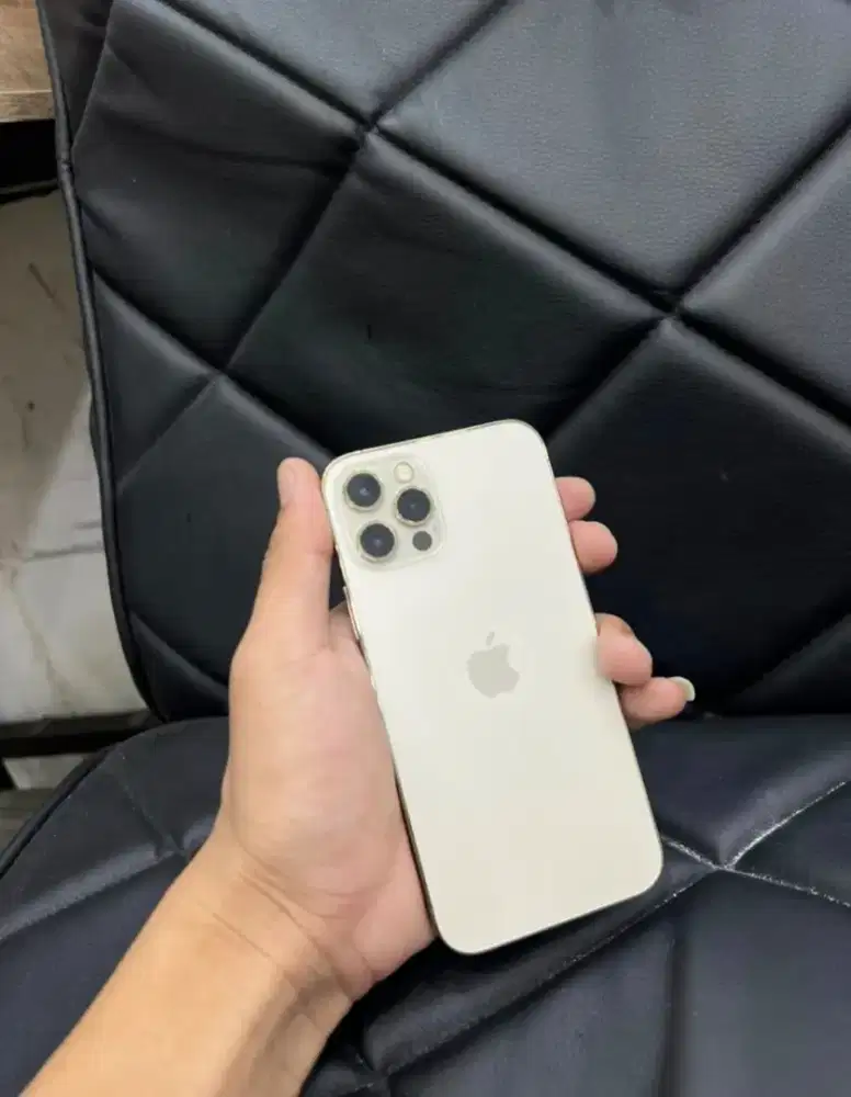 12 pro beacukai 256