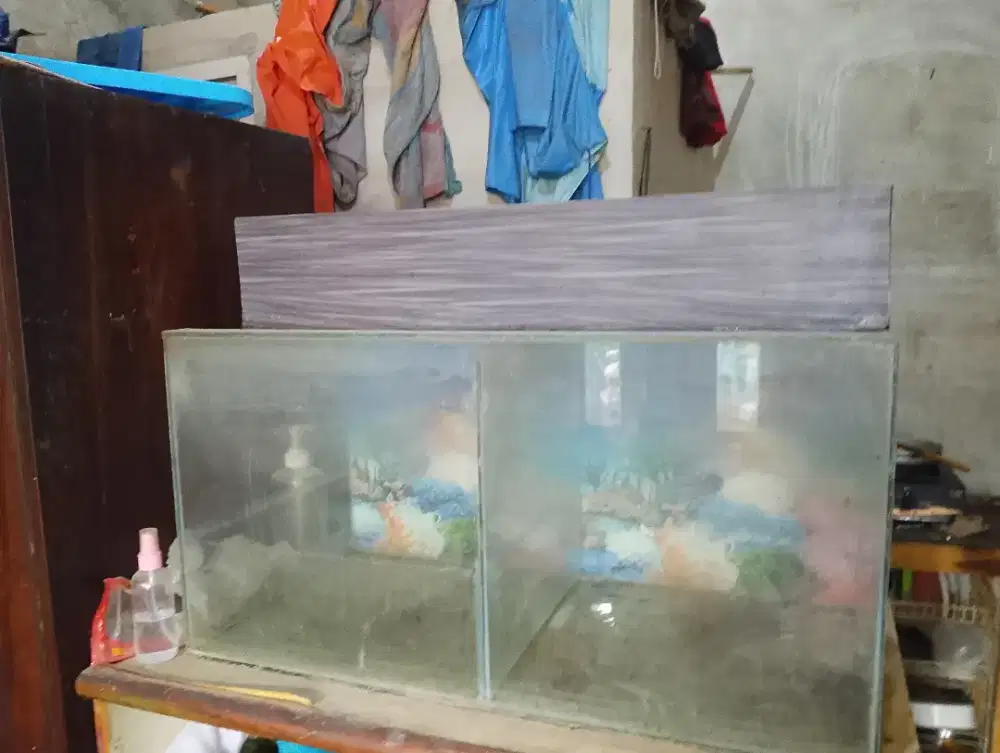 Akuarium sekat 68x35
