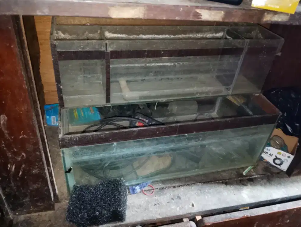 Akuarium 50x20 masih bagu