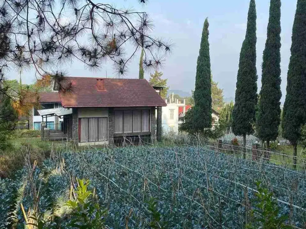 Dijual Tanah Kavling Lokasi Favorit di Villa Istana Bunga Lembang