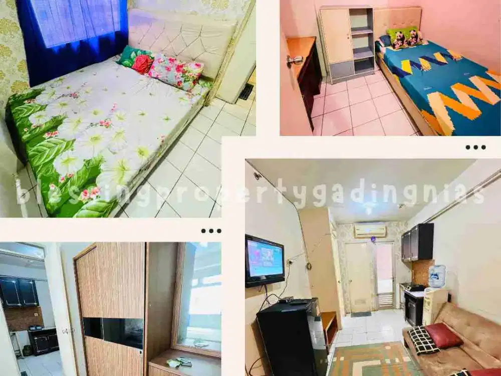 Alamanda lt 20