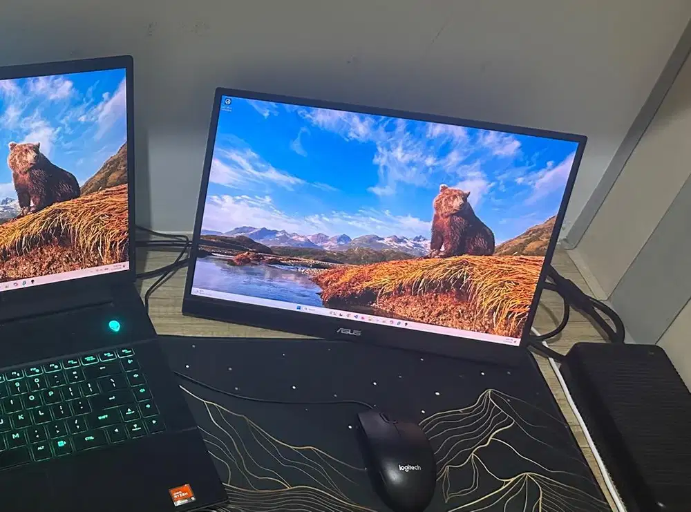 ASUS MONITOR 16