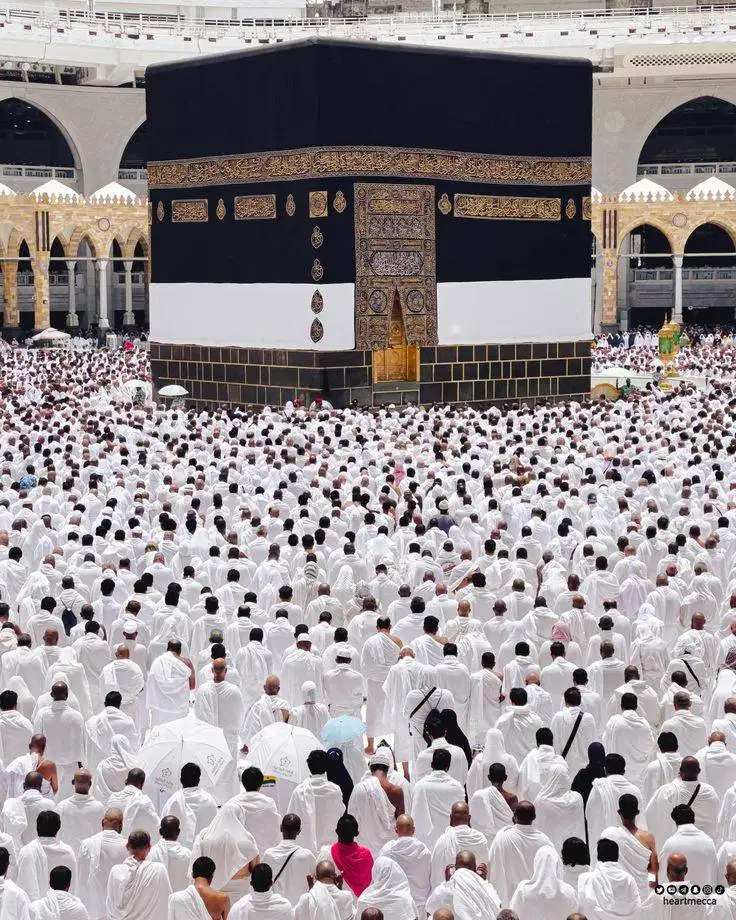 Sales Haji Khusus