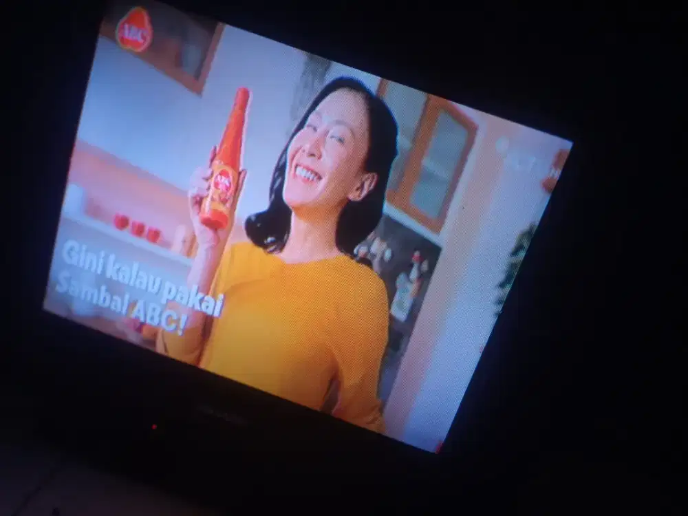 Tv Sharp 21 in in