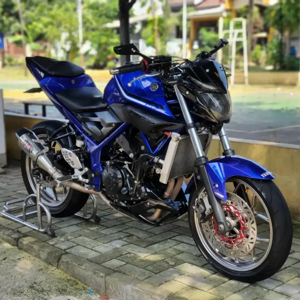Yamaha MT25 2015