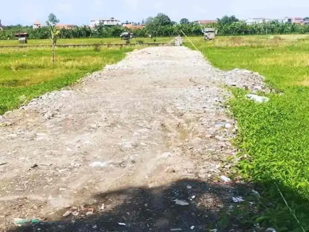 Tanah kavling di sewakan bisa di ambil sesuai kebutuhan berlokasi di Seminyak.