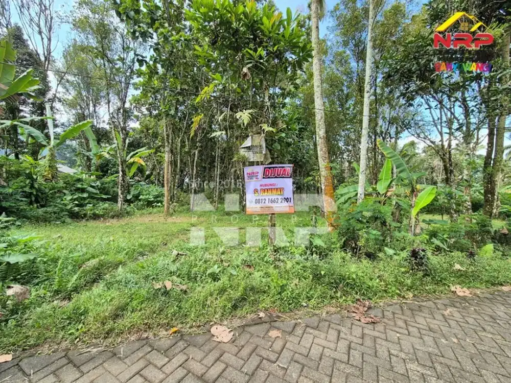 Dijual Tanah Kebun dekat Wisata Pemandian Sendang Seruni Licin - Banyuwangi
