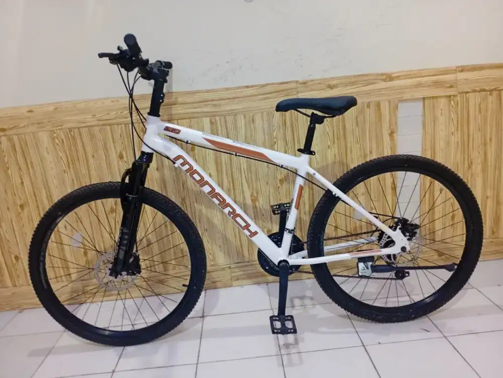 Polygon Monarch 260 LIKE NEW