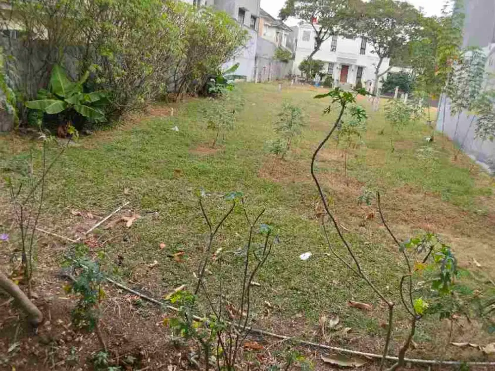 Kavling Tanah Pasadena Deltamas Murah Luas Strategis Kuldesak Bagus Cepat Bu