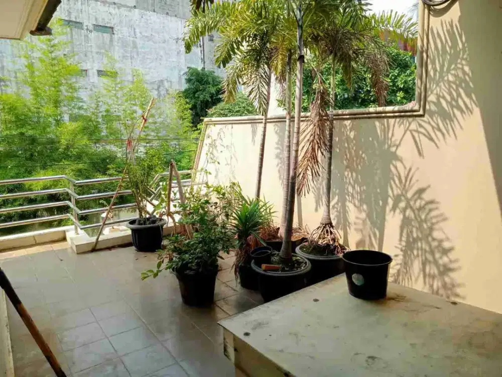 Rumah 2 Lantai Cideng Di Bawah NJOP Luas 200m