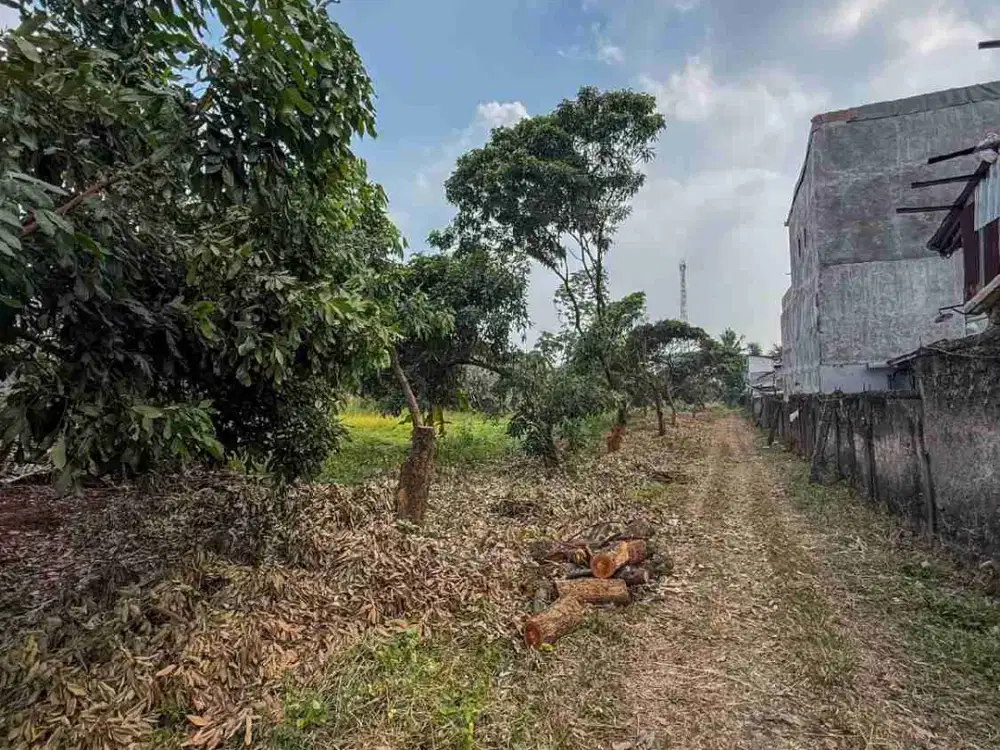 Land Bank 2,8 Hektar Cocok Untuk Cluster Di Cilangkap
