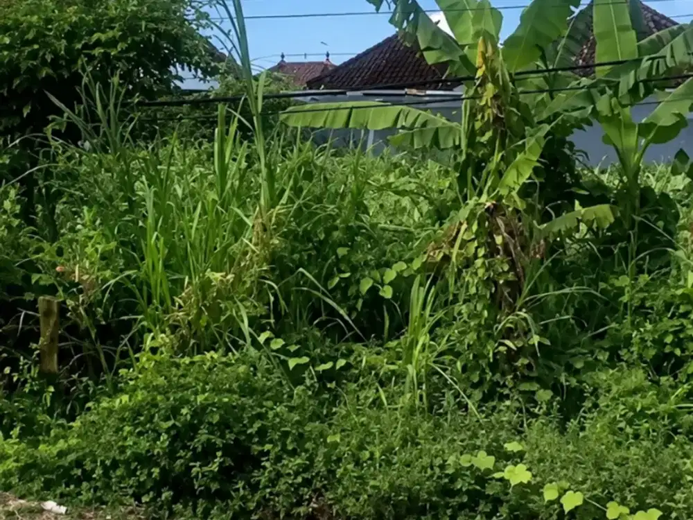 DIJUAL TANAH PREMIUM DI JL. DRUPADI, RENON – DENPASAR