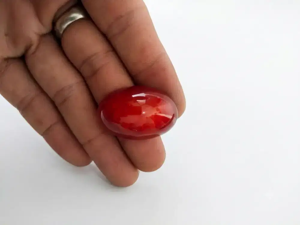 Pandan nanas Merah Super