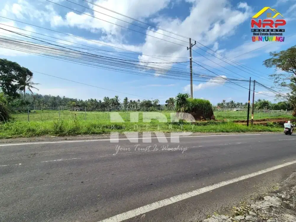 Dijual Tanah Strategis di Tepi Jl. Raya Litjen Tamansari, Licin - Banyuwangi