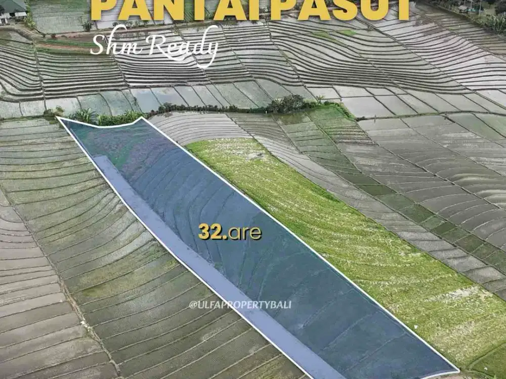 Dijual Tanah Pariwisata SHM 37 Are View Sawah dan Pantai Pasut Bali
