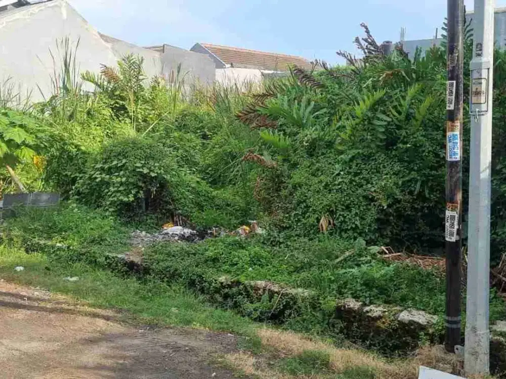 Tanah Murah Lokasi Gunung Anyar Tambak Surabaya