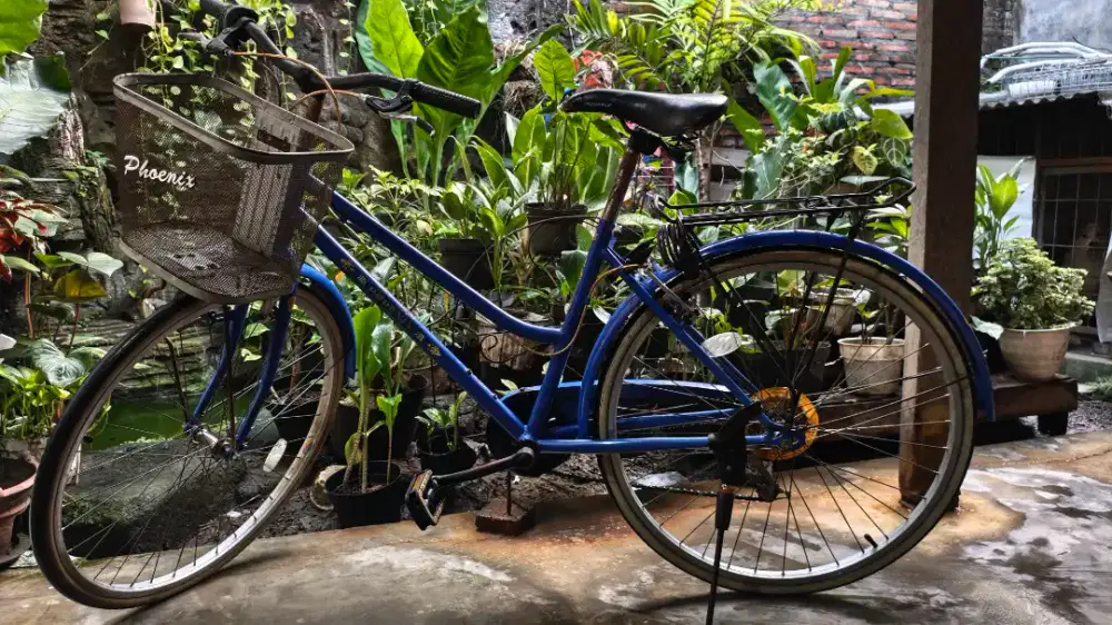 Sepeda Phoenix kondisi bekas