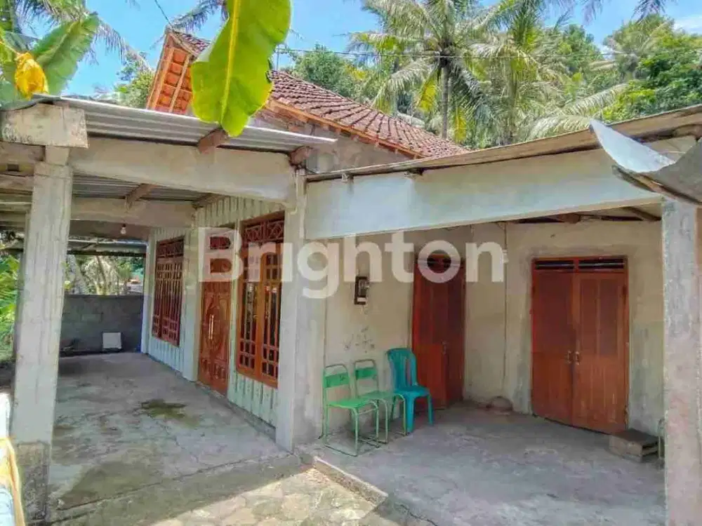 Tanah Luas 2000 Meter Murah Bonus Rumah