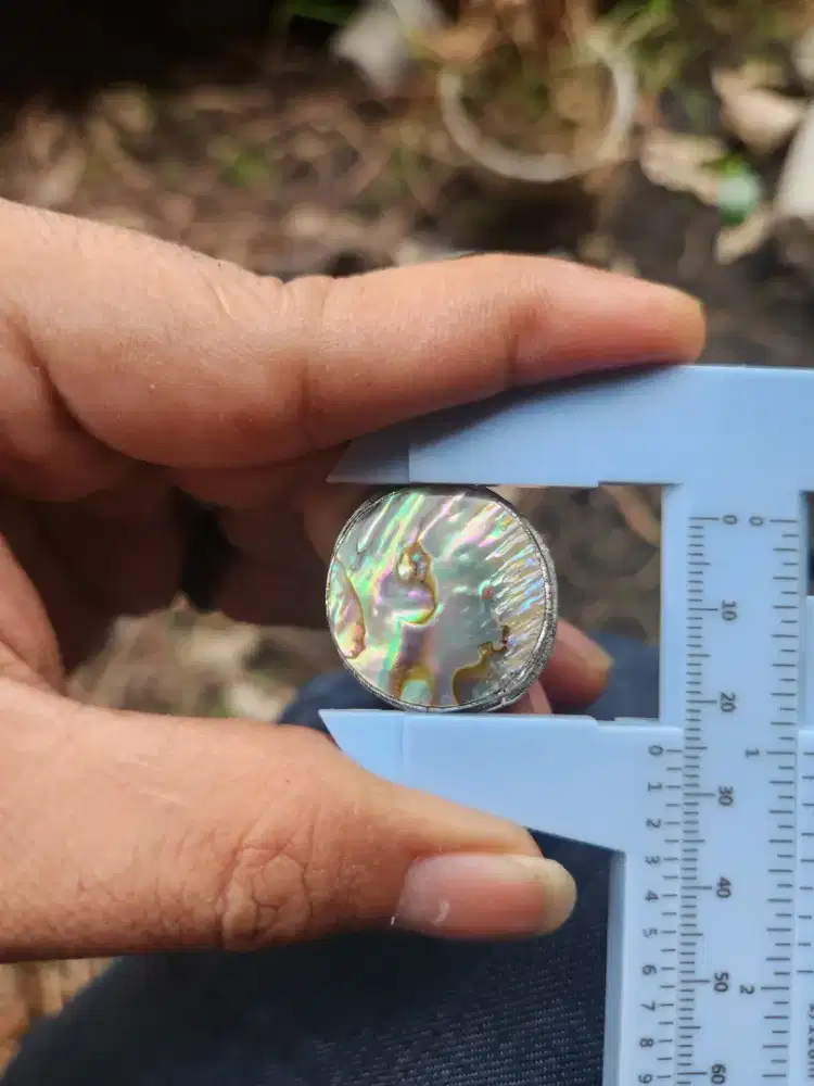 Cincin fosil kerang laut