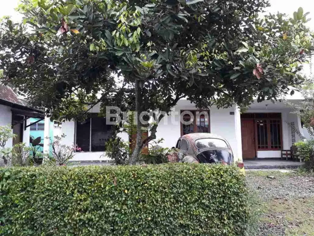 Rumah Besar Strategis Siap Huni Slow Living Pati Jawa Tengah