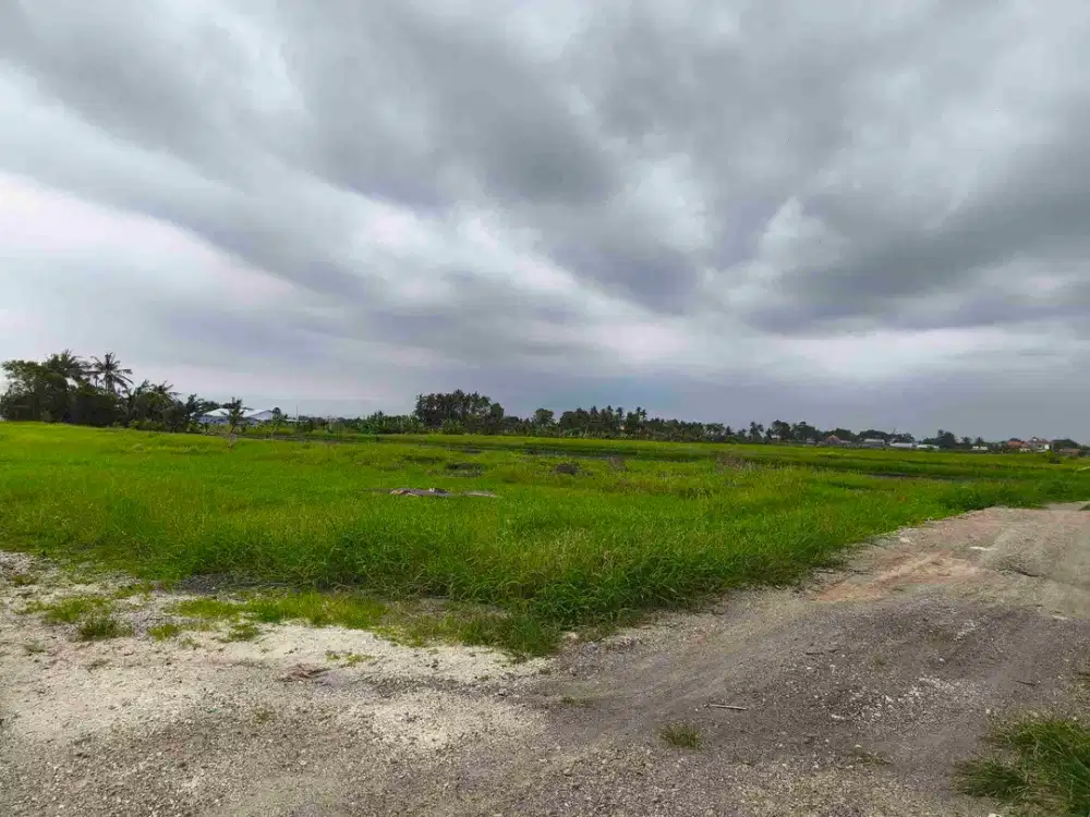 Tanah Premium di Kompleks Villa Dekat Pantai Kedungu