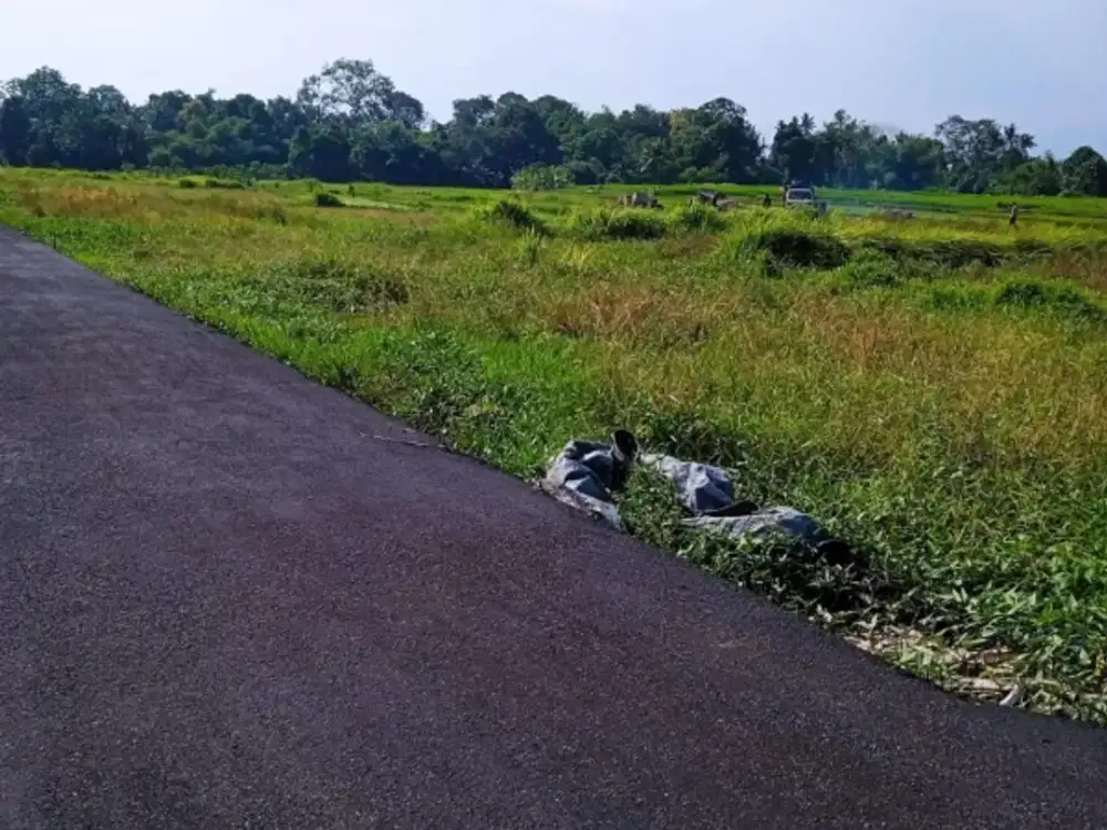 Tanah Dijual Dekat Pantai Kedungu Cocok untuk Villa