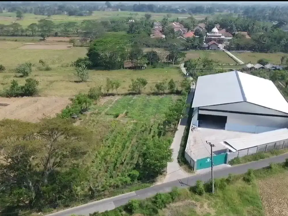 Dijual Cepat Tanah Siap Bangun 10 Ha Desa Penjamuran Kronjo Balaraja Banten