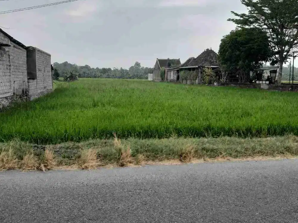 Investasi Tanah Luas Strategis Di Kota Bantul