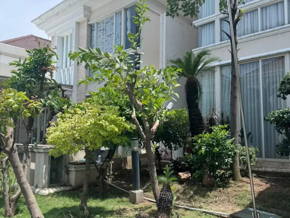 Nego Ciamik Minimalis Rumah La Riz Wood, Pakuwon Indah
