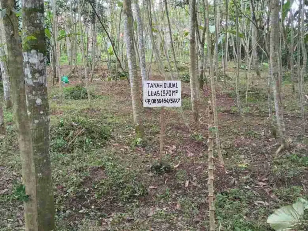 Tanah Pekarangan strategis dekat RS dan sekolah