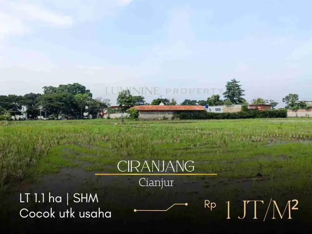 DIJUAL, BU, SEBIDANG TANAH LUAS 1,1 ha