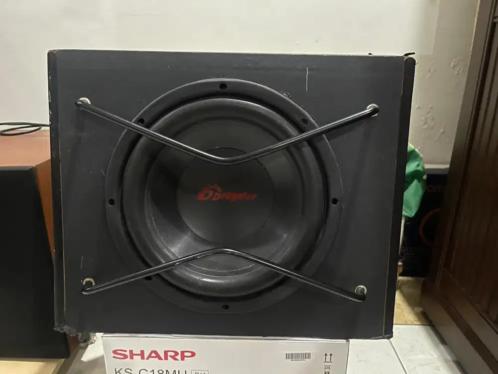 Ddrugster 10 subwoofer