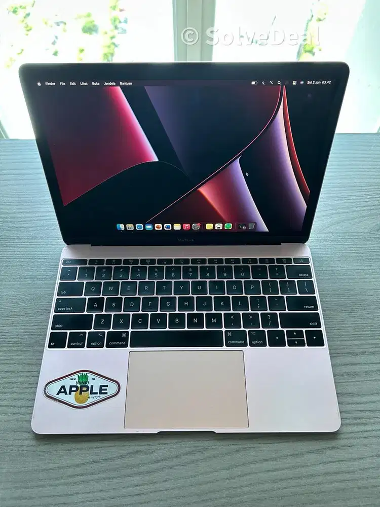 Apple Macbook Retina 12 Inch 2017 SSD 256GB Rose Gold Bonus Microsoft