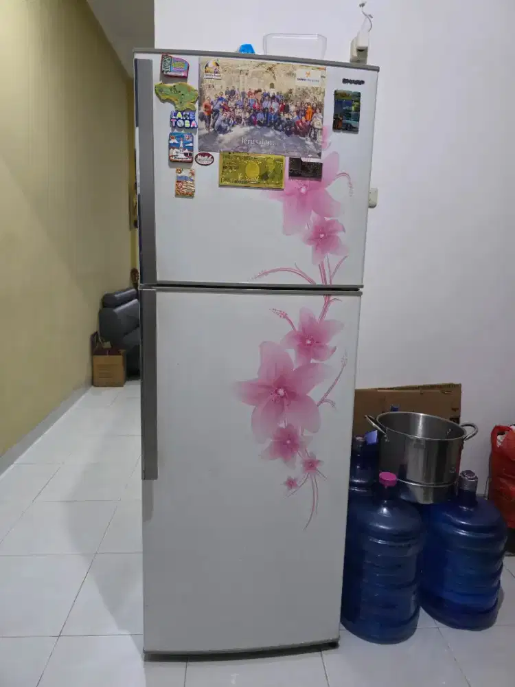 Kulkas sharp 2 pintu