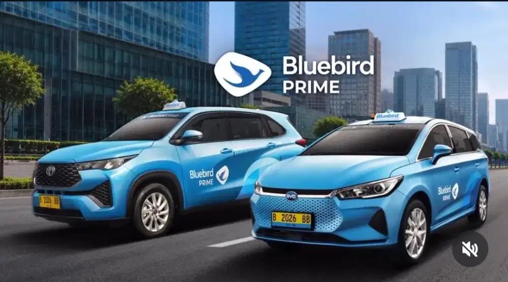 Lowongan driver taxi blue bird