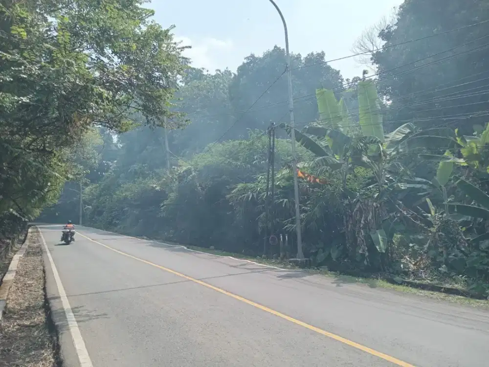 Dijual Tanah 200 HA Pinggir Jalan Raya Provinsi Cigudeg Bogor