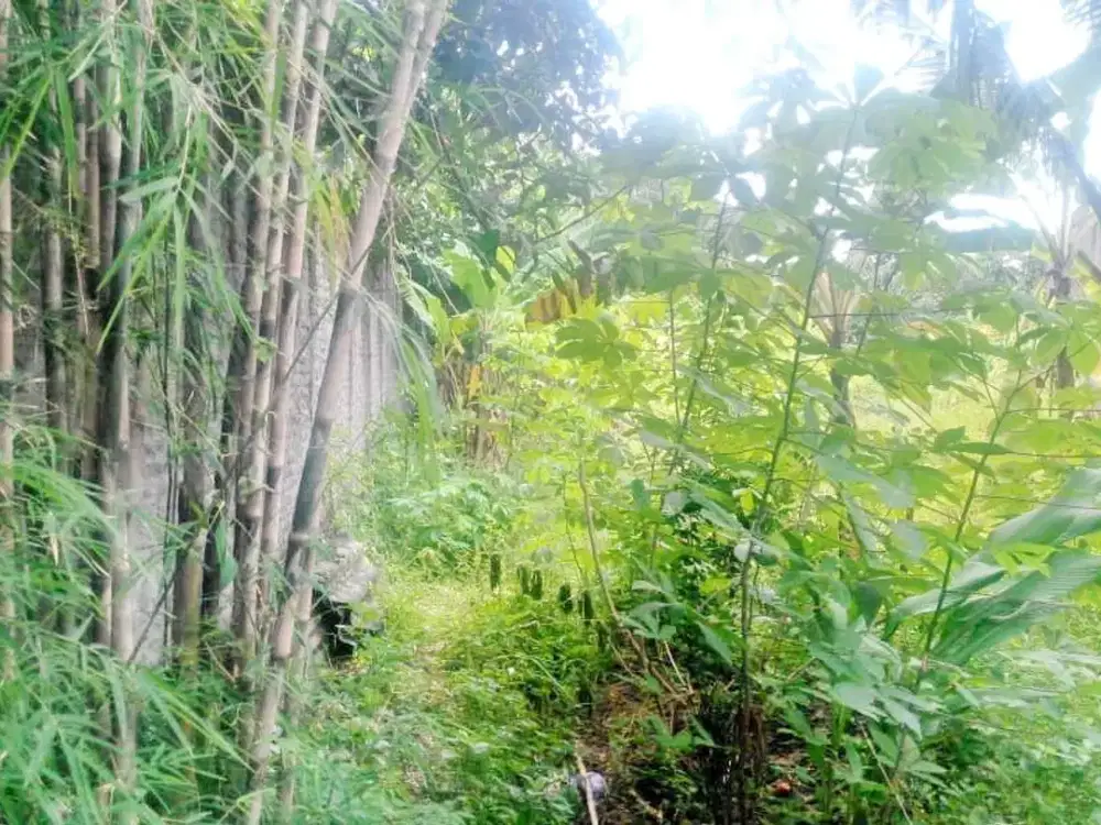 LT 1350 TIMOHO Tanah Dekat Baciro, UIN, APMD, Balai Kota, Muja Muju, Cocok Hunian, Homestay