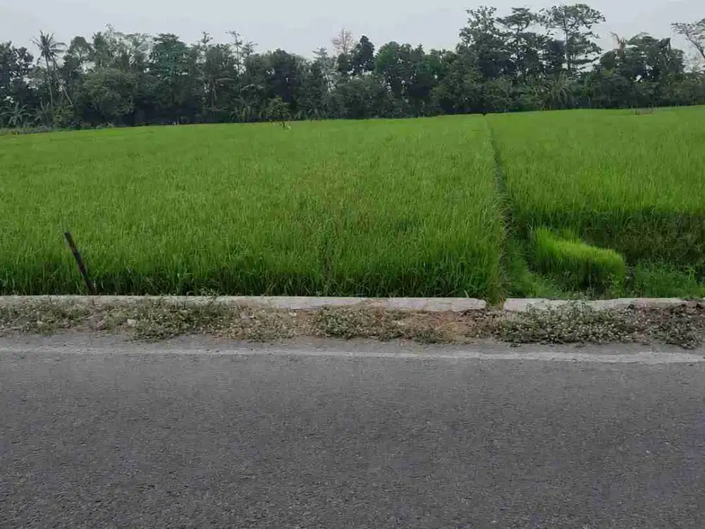 Investasi Tanah Luas Strategis Di Kota Bantul DIY