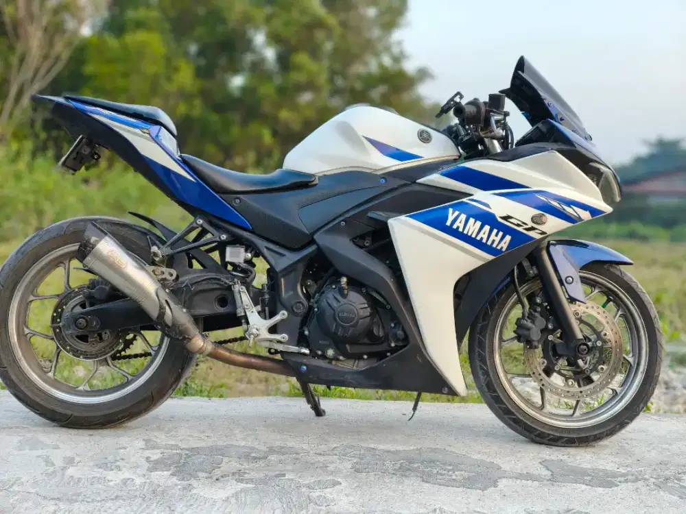 R25 old yamaha motor