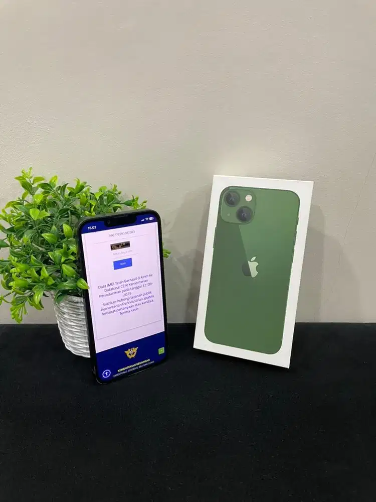 IPhone 13 256GB Green mulus Fullset BH85% 3Utool 98 Bea Cukai Permanen