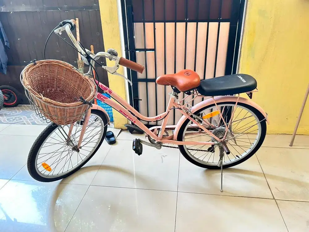 Sepeda Wimcycle Seonna Pink