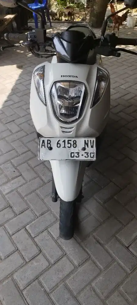 Honda Genio tahun 2020 plat AB